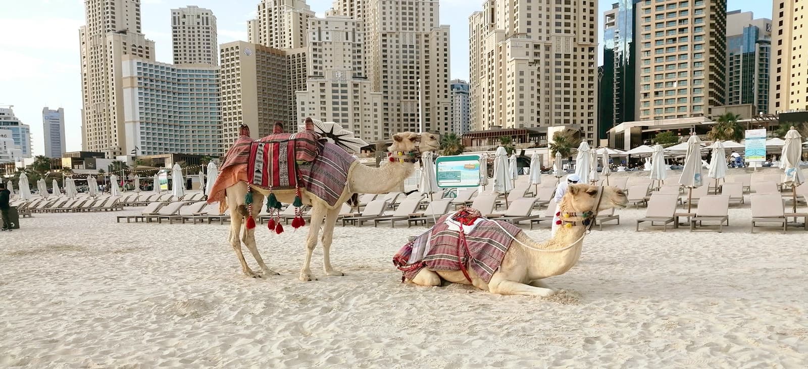 Plage de JBR – photo 3